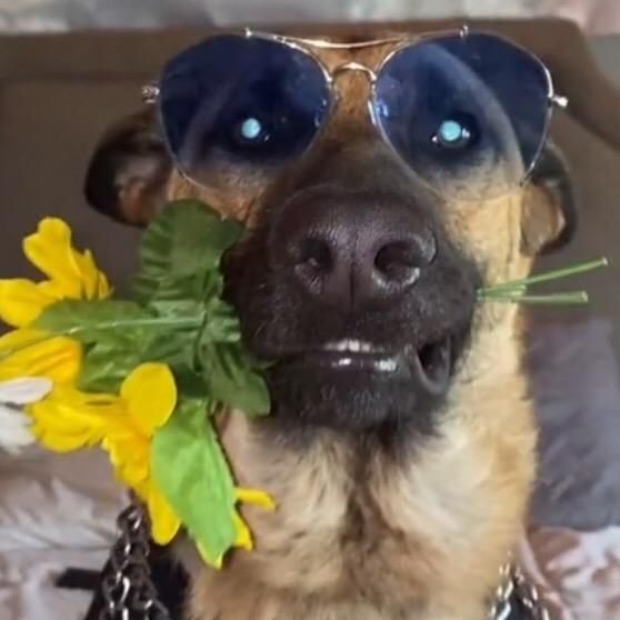 Profile Picture of Jonathan Hess (@jonathanhess0) on Tiktok