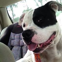 Profile Picture of Ron Freeman (@ron-freeman-11) on Quora