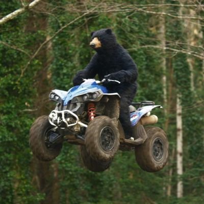 Profile Picture of Bubba Bear🐻 (@Bubba_Krause) on Twitter