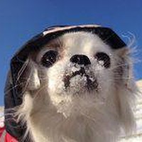 Profile Picture of Paul Shieh (@paul-shieh) on Quora
