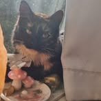 Profile Picture of Jack Wilkinson (@jack.wilkinson.75685) on Facebook