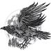 Profile Picture of Curt Root (@Curt-Root) on Facebook