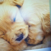 Profile Picture of Harmony Thompson (@harmonythompson6270) on Youtube