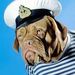 Profile Picture of Mike Knight (@mrgoatsen) on Pinterest