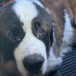 Profile Picture of James Askey (@jaskey78) on Instagram