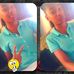 Profile Picture of Kayla De Dopest (@KalyaHeMoans) on Facebook