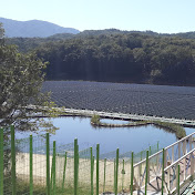 Profile Picture of ROBIN HONG (@robinhong8048) on Youtube