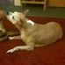 Profile Picture of Cathy Clapper (@cathy.clapper.33) on Facebook