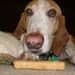 Profile Picture of Gladys Jimenez (@kikole5) on Pinterest