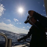 Profile Picture of Cheng Hsing Ho (@cheng hsing ho) on Flickr