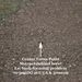 Profile Picture of Mark Gravell (@gravell0507) on Pinterest