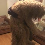 Profile Picture of Daniel Sweetman (@ogdjsweets) on Instagram