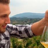 Profile Picture of Cristian Specogna (@SpecognaWINEs) on Twitter