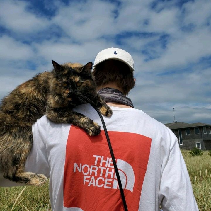 Profile Picture of Kevin T (@kevinstwist) on Tiktok