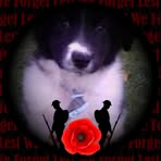 Profile Picture of Trudy Scott Halliburton (@trudy.scott.50) on Facebook