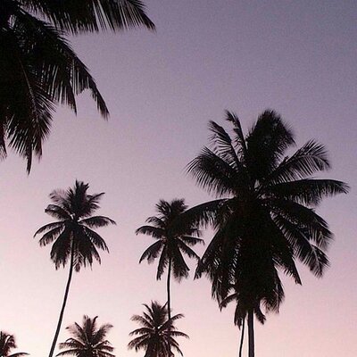 Profile Picture of Drew (@DrewRupp) on Twitter