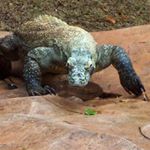 Profile Picture of Sharon Jensen Rugaber (@msjensenrugaber) on Instagram