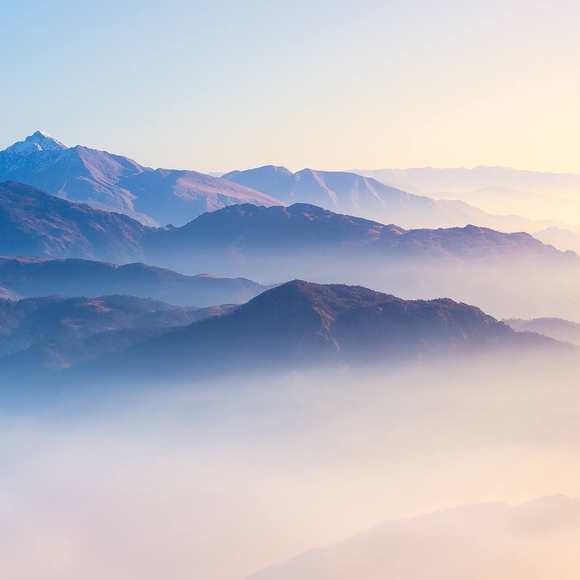 Profile Picture of Tyler Cann (@tylercann) on Poshmark