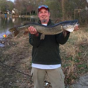 Profile Picture of Thomas Giddings (@giddings_thomas) on Twitter