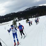 Profile Picture of Bjørn Eide Pedersen (@bjorn6402) on Instagram