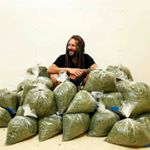 Profile Picture of Steve Brunson (weed Supplier) (@420weed_home) on Instagram