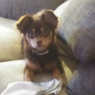 Profile Picture of Michael Creager (@creager_michael) on Twitter