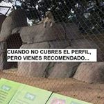 Profile Picture of James Casanova (@celectronicos) on Instagram