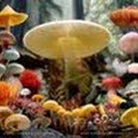 Profile Picture of Matthew Knowlton (@matthew-knowlton) on Quora