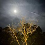 Profile Picture of 張芸甄 (@sec2jun) on Instagram