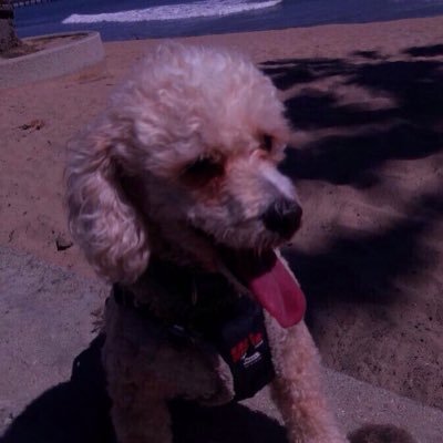 Profile Picture of Alexandra Partida (@Alex_Partida_) on Twitter