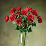 Profile Picture of Higaad INa Hassan (@Higaad-INa-Hassan) on Facebook