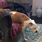 Profile Picture of Eric Truelove (@isthataninvitation92) on Instagram