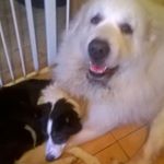 Profile Picture of Diane Lear (@diane_lear) on Instagram