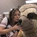 Profile Picture of Tamra Mckisick-Baccus (@tamrajob) on Pinterest
