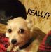 Profile Picture of Kalaka DebraDowns Allison (@Debra.Allison.1806) on Facebook
