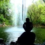 Profile Picture of Nestor Baldizon (@nestorbaldizon) on Instagram