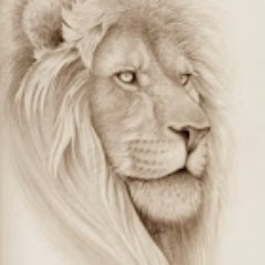 Profile Picture of Erik Coley (@erikcoley8) on Twitter