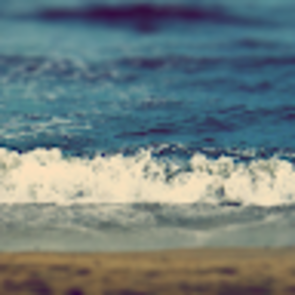 Profile Picture of Violet Kim (@violetk_) on Poshmark