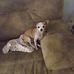 Profile Picture of Carl Shultz (@carl.shultz.712) on Facebook