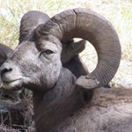 Profile Picture of Jayson Garner (@jayson.garner) on Instagram