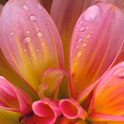 Profile Picture of Olivia Ling (@olivialing9702) on Youtube