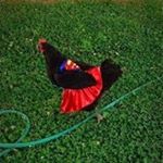 Profile Picture of kyle shoupe (@shoupekyle) on Instagram