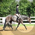 Profile Picture of Sarah Keith (@sarah_keith101) on Instagram