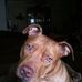 Profile Picture of Kenneth Hollins (@kenneth.hollins.1) on Facebook