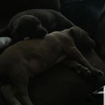 Profile Picture of Baby_jay (@randallwilson253) on Instagram