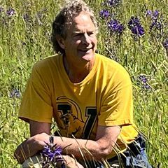 Profile Picture of Richard Bingham (@richard.bingham) on Tiktok