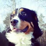 Profile Picture of tami_berner (@tami_berner) on Instagram