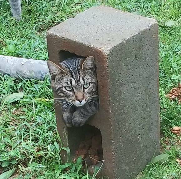 Profile Picture of Karen Isacson (@karensumner15) on Poshmark