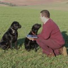 Profile Picture of Kevin Milner (@milnerkevin) on Twitter