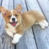 Profile Picture of Reese Boyd (@reese-boyd-10) on Quora